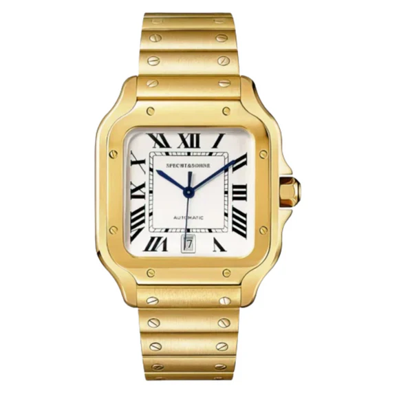 Cartier Santos De Cartier Watch In Pakistan